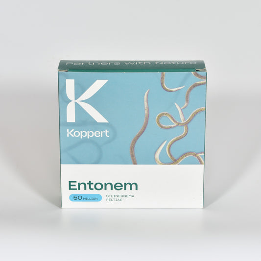 Larvanem of Entonem voor bestrijding van keverlarven?