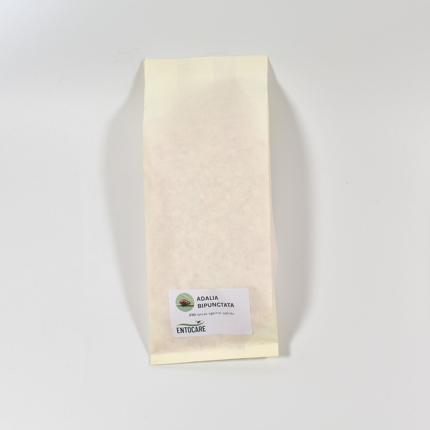 ADALIA larvae  - 250