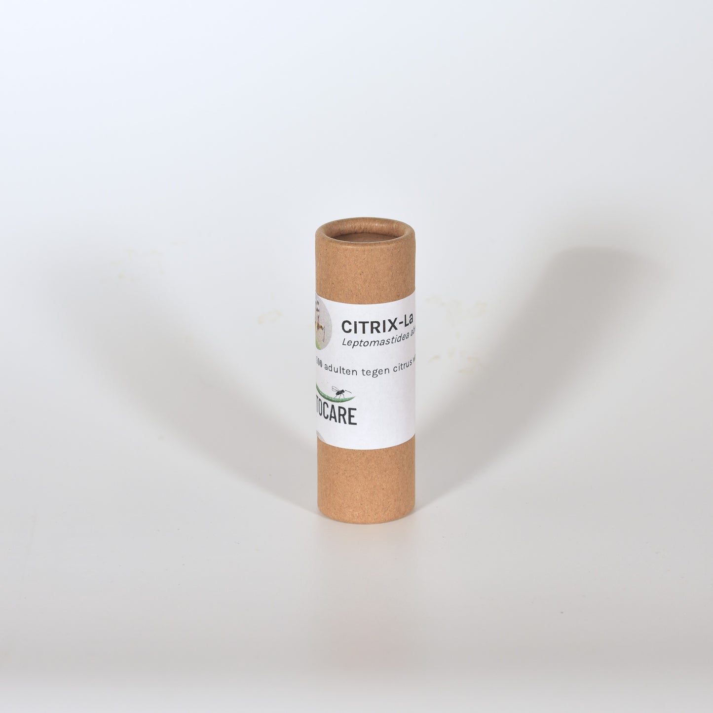 LEPTOMASTIDEA ABNORMIS - 100