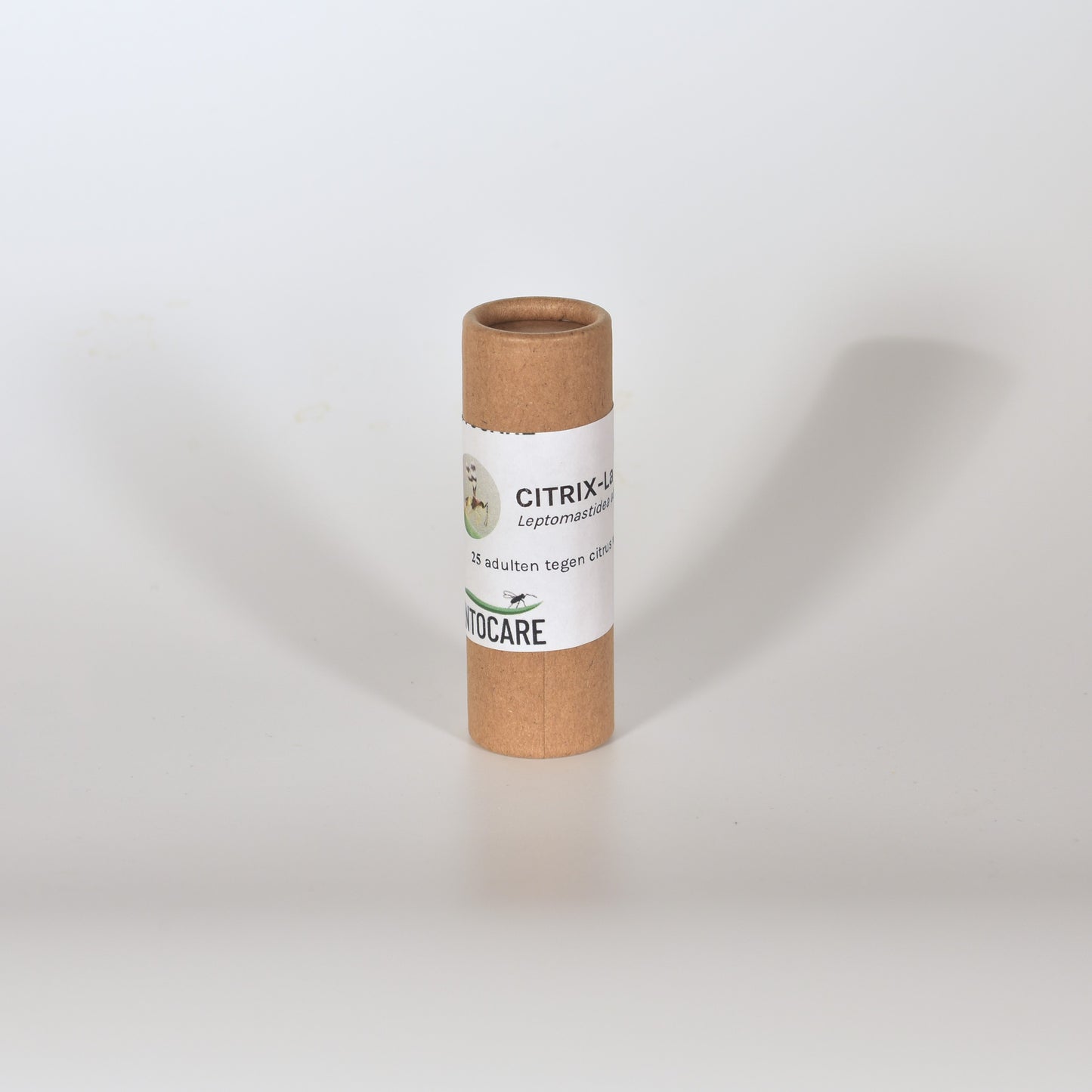 LEPTOMASTIDEA ABNORMIS - 25