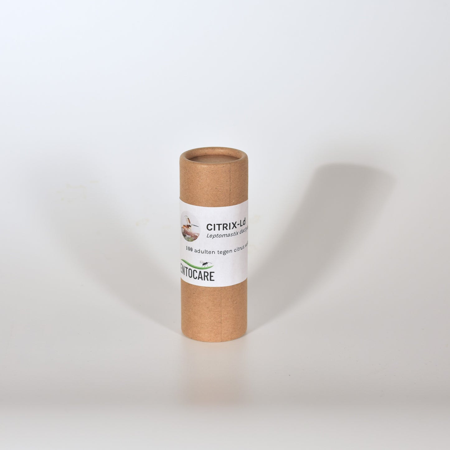 LEPTOMASTIX DACTYLOPII - 100