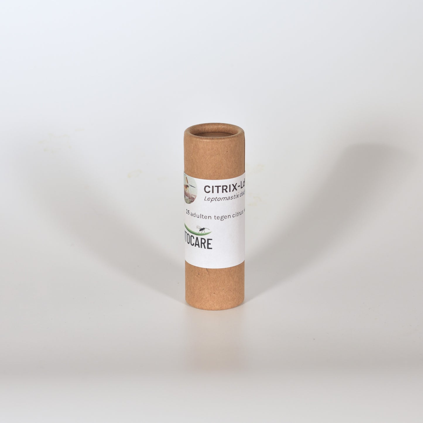 LEPTOMASTIX DACTYLOPII - 25