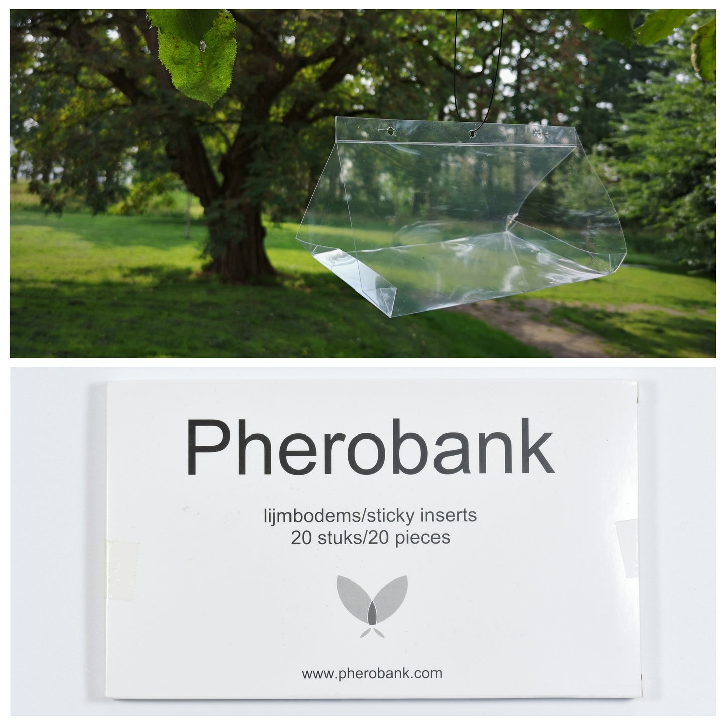 deltaval-2-lijmbodems-1