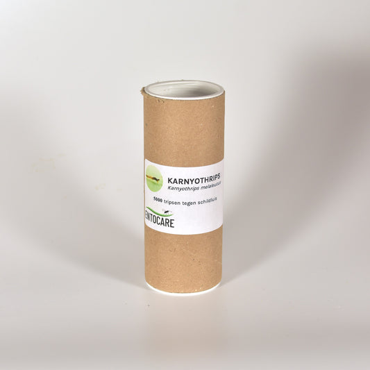 KARNYOTHRIPS MELALEUCUS - 5000