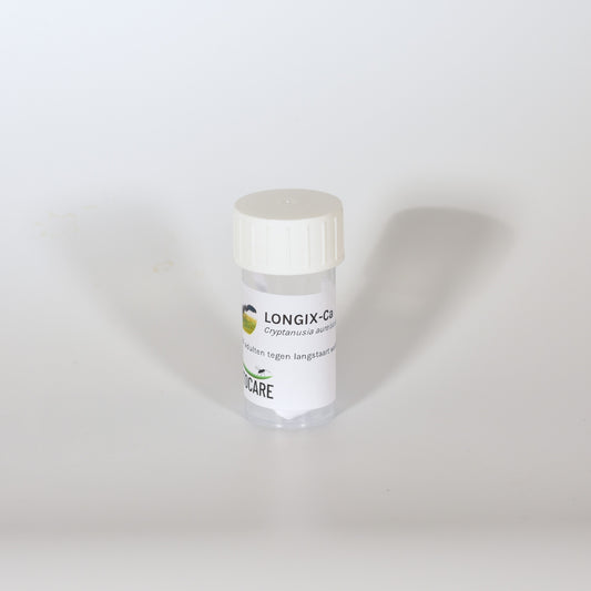 CRYPTANUSIA AUREISCUTELLUM - 25