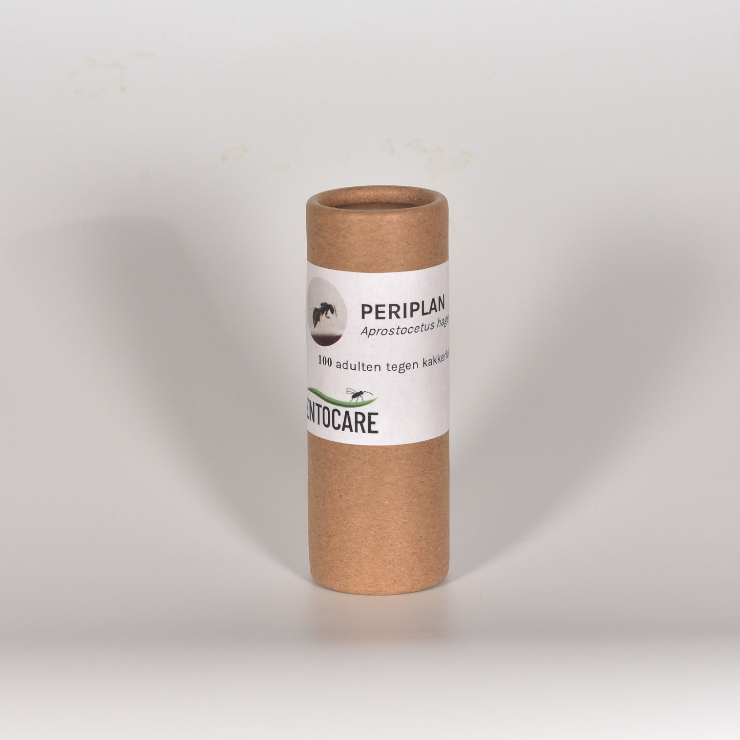 APROSTOCETUS HAGENOWII - 100