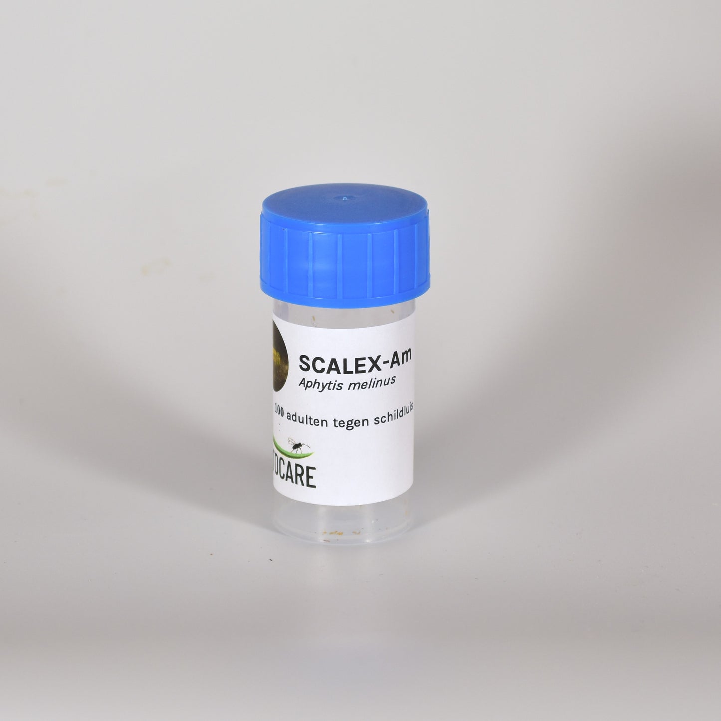 APHYTIS MELINUS - 100