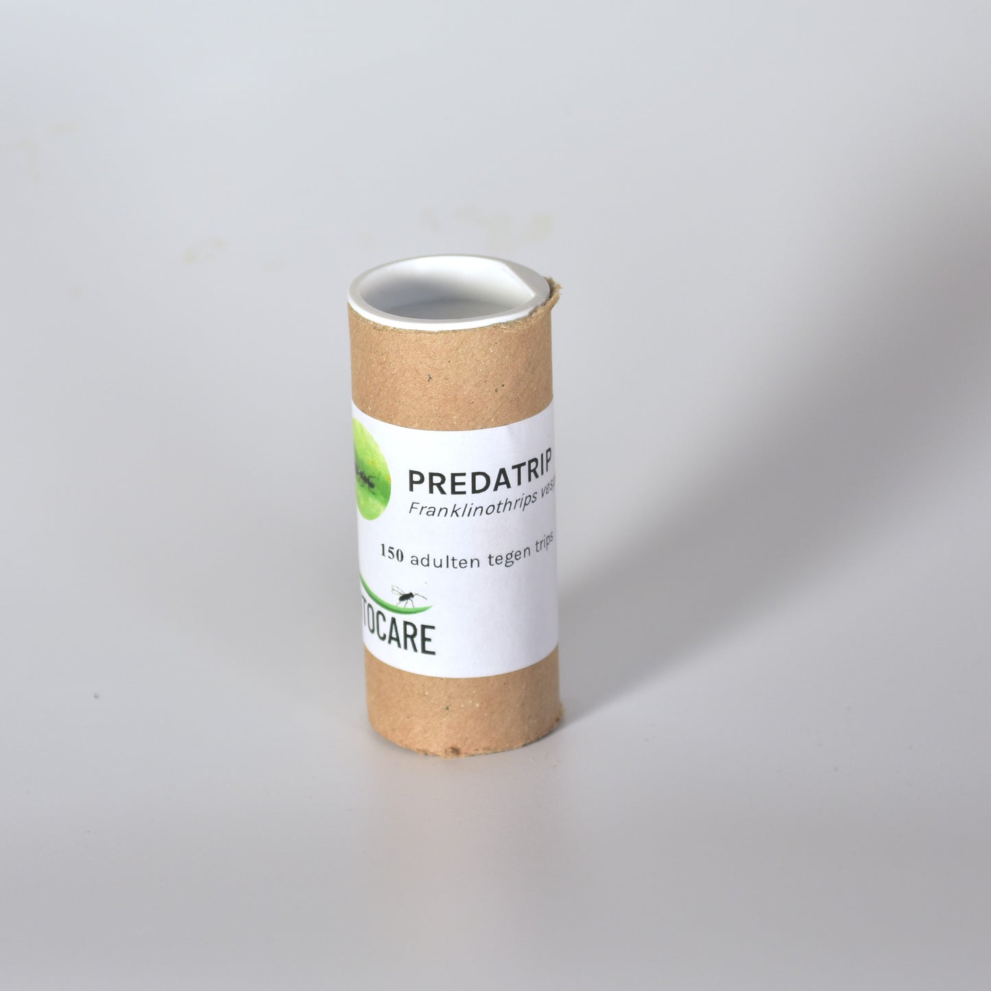 FRANKLINOTHRIPS VESPIFORMIS - 150