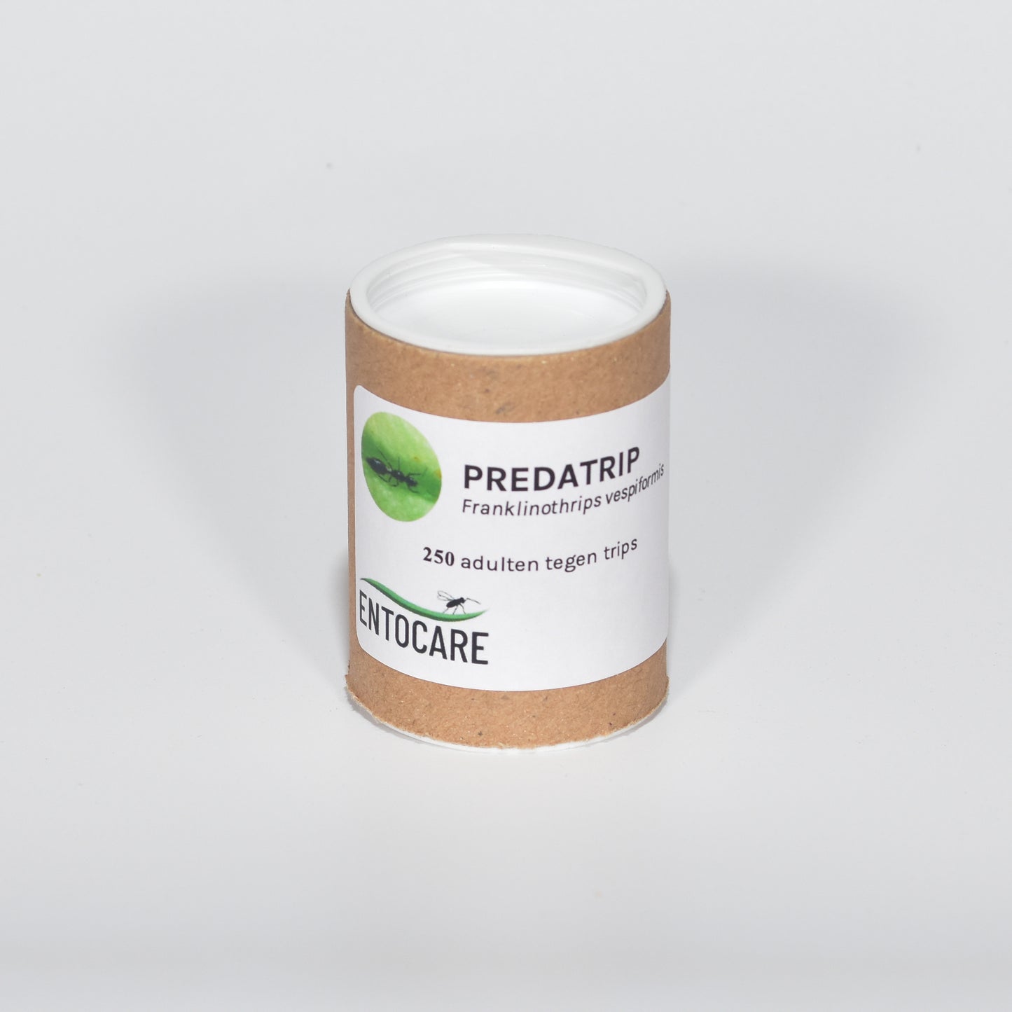 FRANKLINOTHRIPS VESPIFORMIS - 250