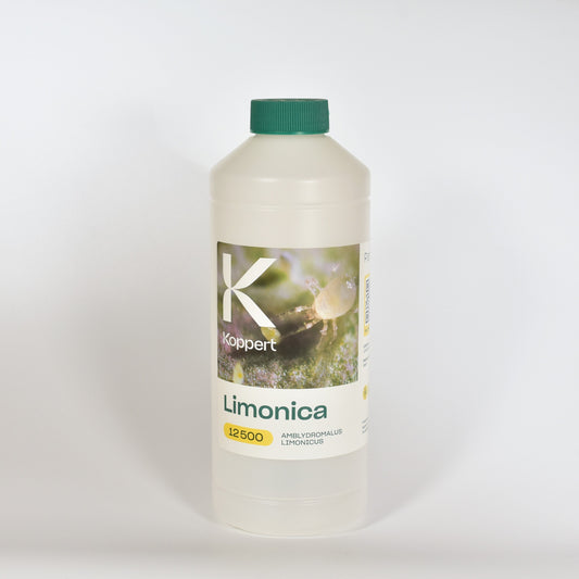 limonica-25-000