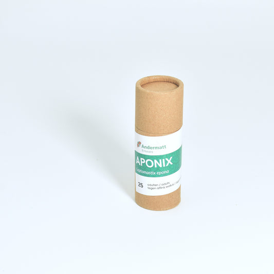 LEPTOMASTIX EPONA - 25