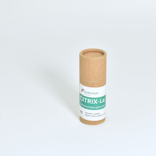 LEPTOMASTIDEA ABNORMIS - 25