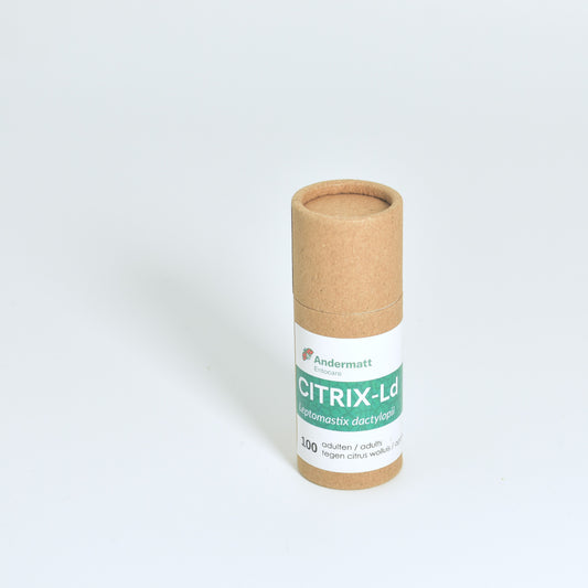 LEPTOMASTIX DACTYLOPII - 100