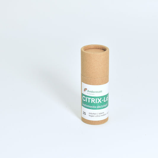 LEPTOMASTIX DACTYLOPII - 25