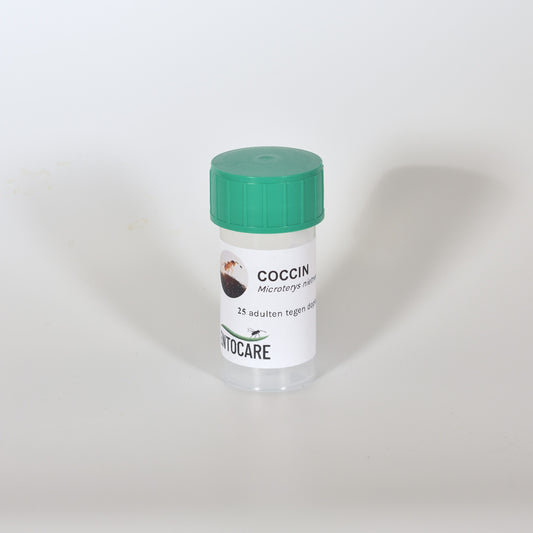 coccin-25