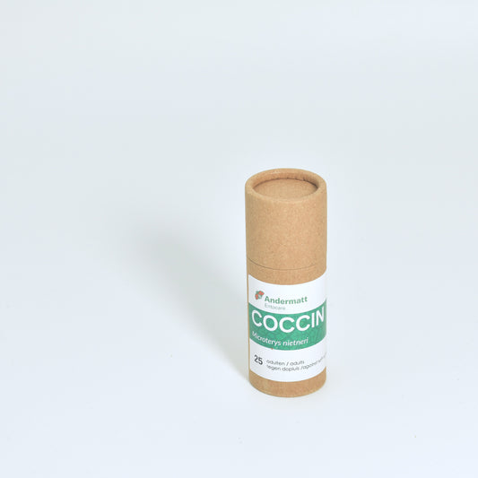 MICROTERYS NIETNERI - 25