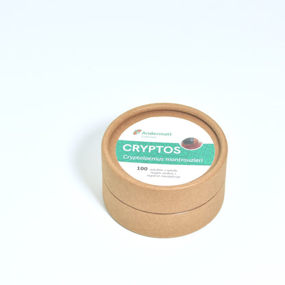 CRYPTOLAEMUS MONTROUZIERI adults - 100