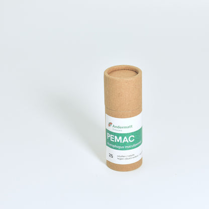 pemac-25