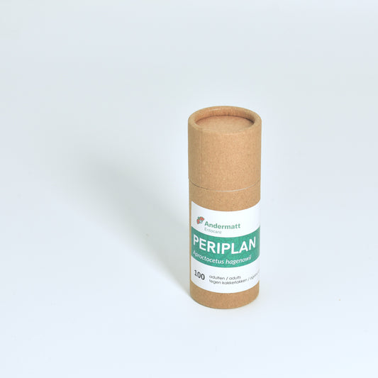 APROSTOCETUS HAGENOWII - 100