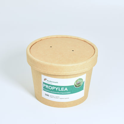 propylea-lieveheersbeestjes-100