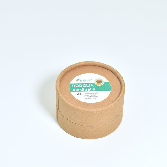 RODOLIA CARDINALIS - 25