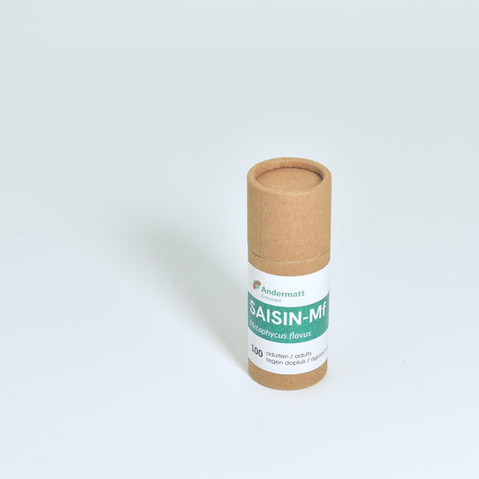 METAPHYCUS FLAVUS - 100