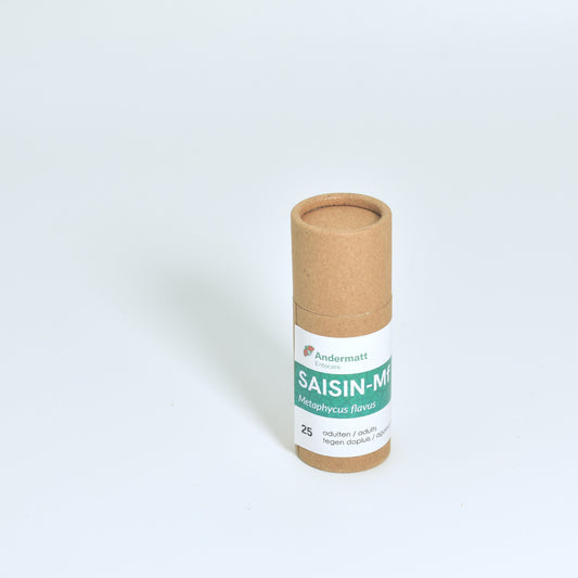 METAPHYCUS FLAVUS - 25