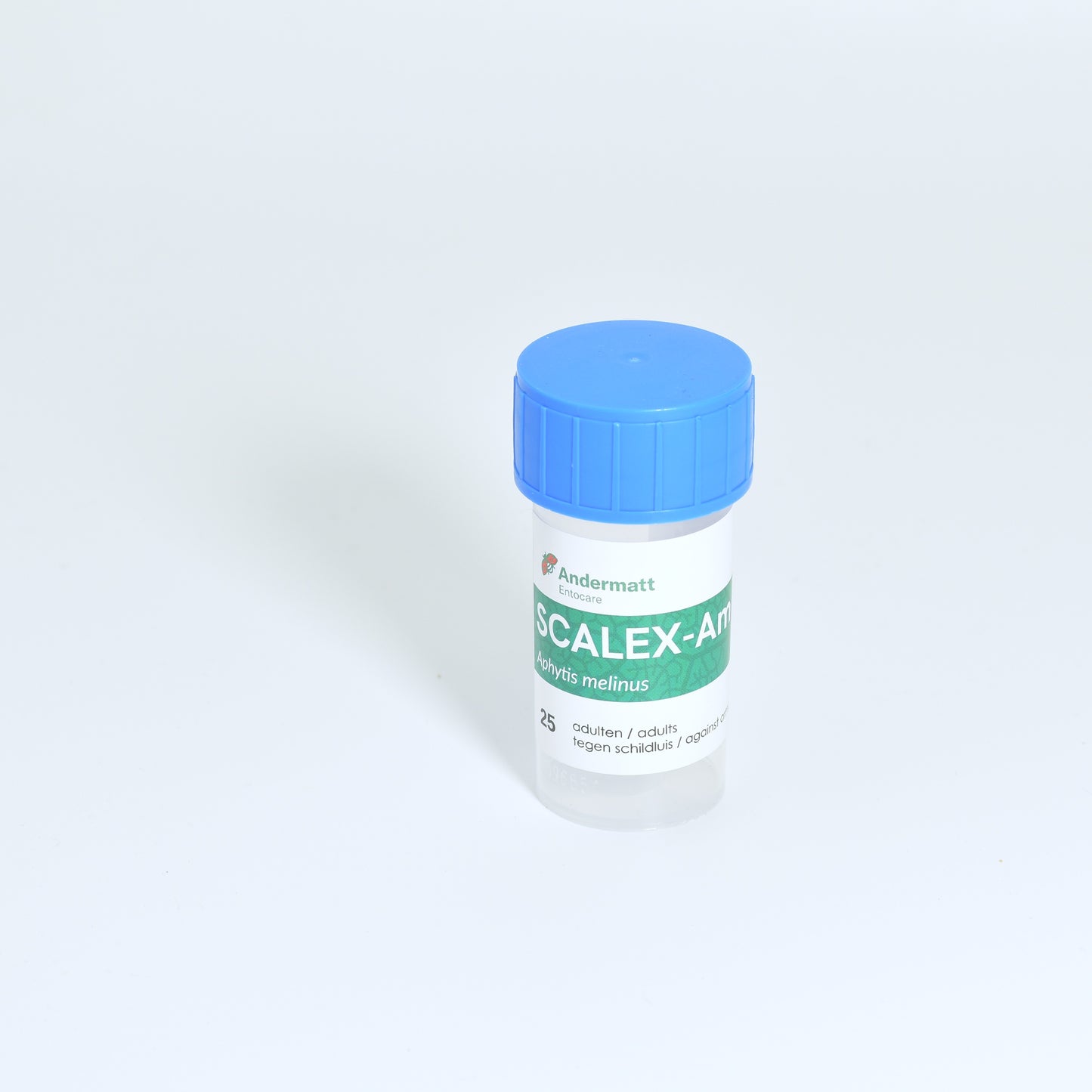 APHYTIS MELINUS - 25
