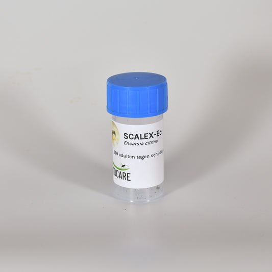 scalex-ec-100