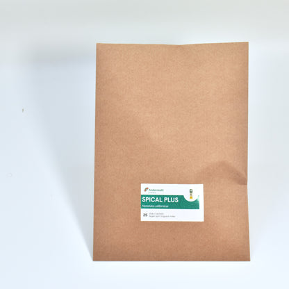 spical-plus-25