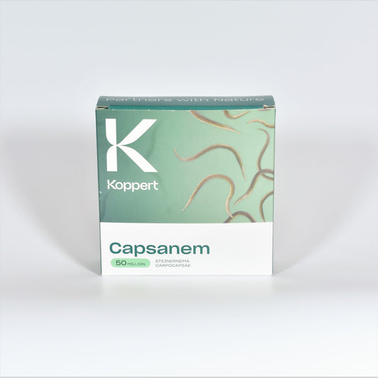 capsanem-50M