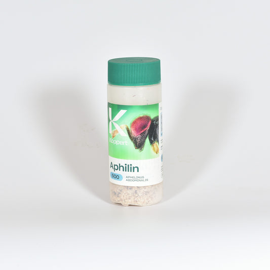 aphilin-500