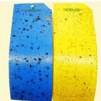 HORIVER yellow sticky traps - 12 x large